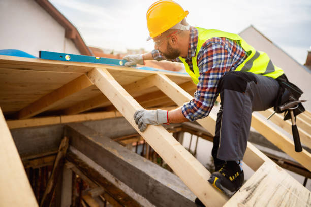 Roof Gutter Cleaning in Susan Moore, AL
